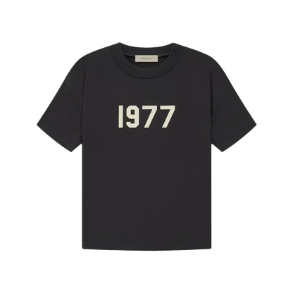 Essentials 1977 T-shirt Iron